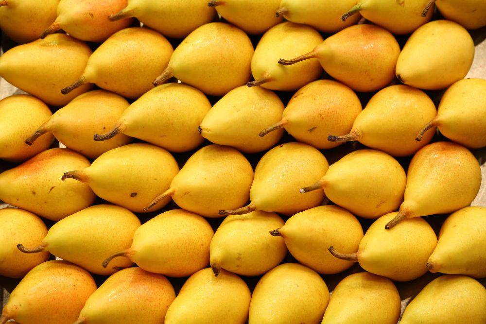 ilustrasi buah pear (unsplash.com/@maksimshutov)