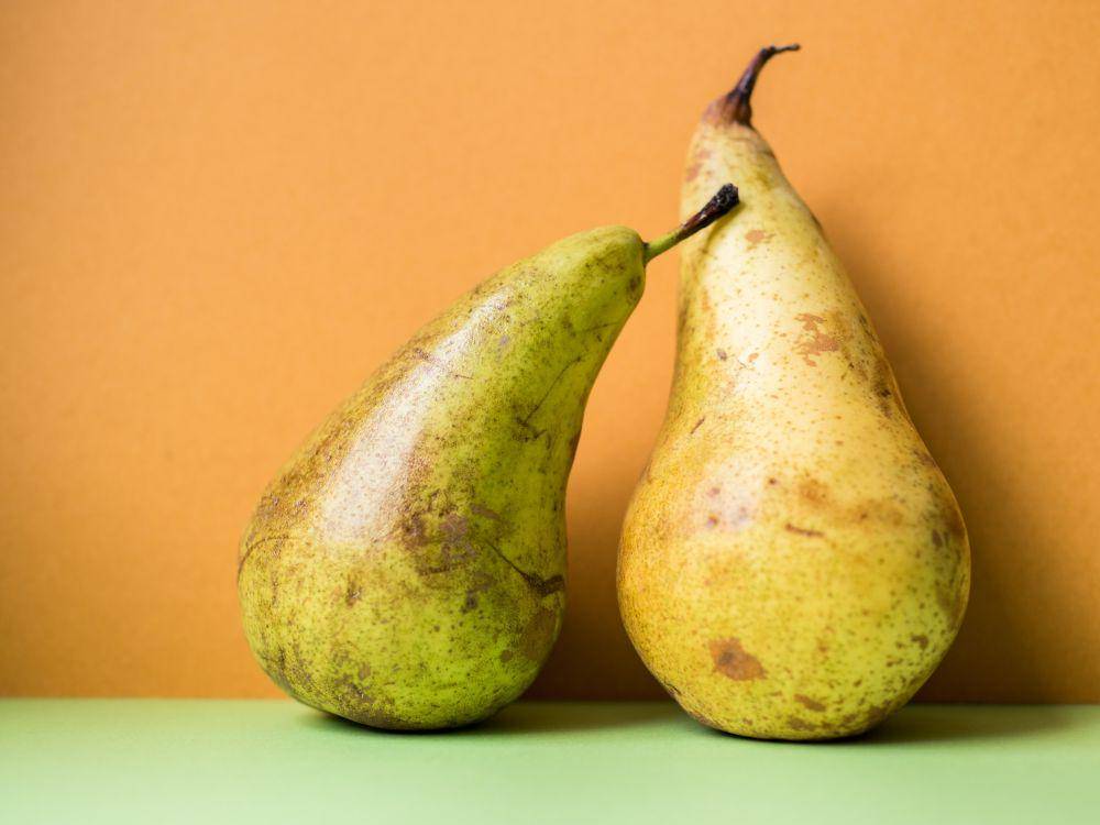 ilustrasi pear (unsplash.com/@vemberno)