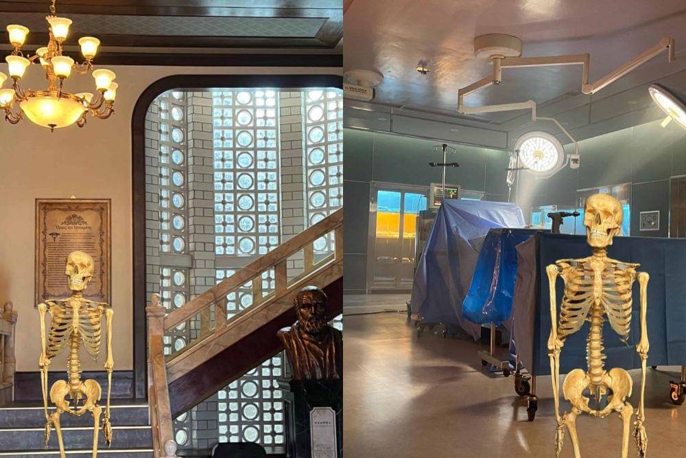 Elizabeth, alat peraga Shin Dong Wook di Dr. Romantic 3 (instagram.com/iam_shinstealar)