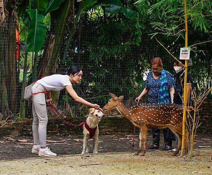 Jakarta Escape (instagram.com/jkt.escape)