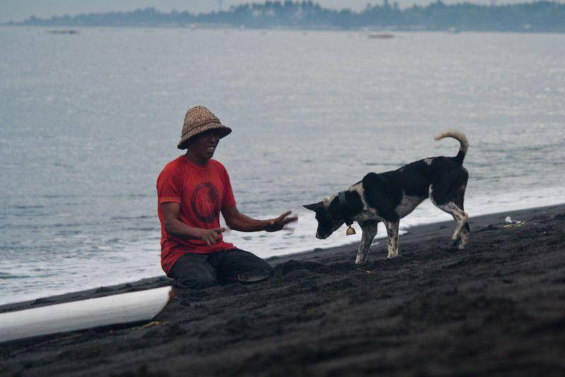 ilustrasi interaksi antara manusia dan anjing (flickr.com/FAO of the UN)