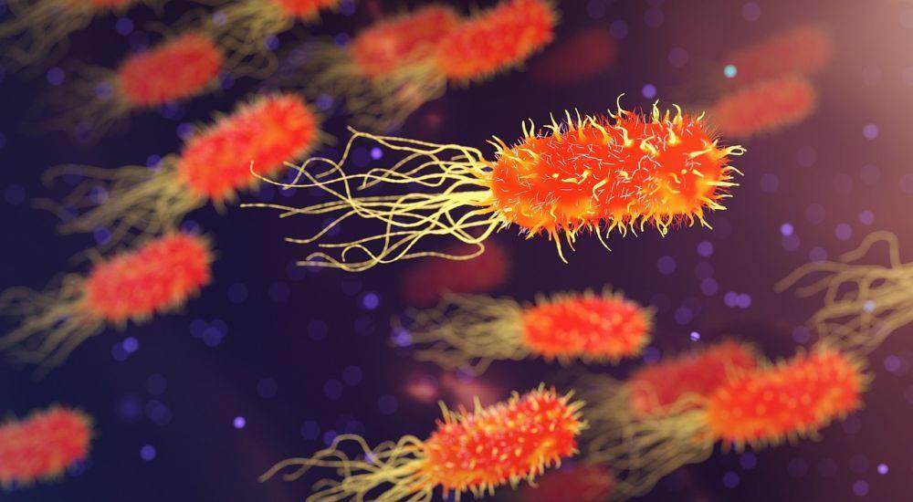 Archaebacteria: Pengertian, Ciri-Ciri, Struktur, dan Manfaat