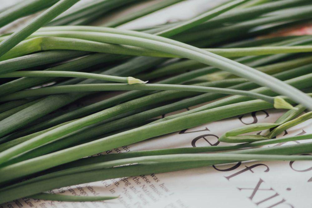 ilustrasi daun bawang (unsplash.com/@chuttersnap)