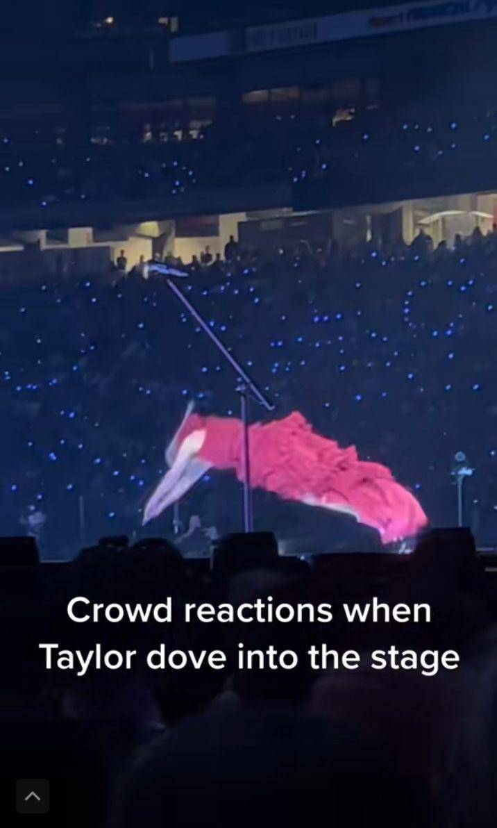momen viral di konser Eras Tour (tiktok.com/@harrisonnewtonn)