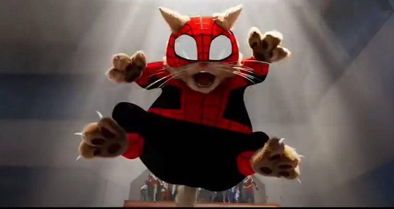 Spider-Cat dari film Spider-Man: Across the Spider-Verse. (Dok. Sony Pictures)