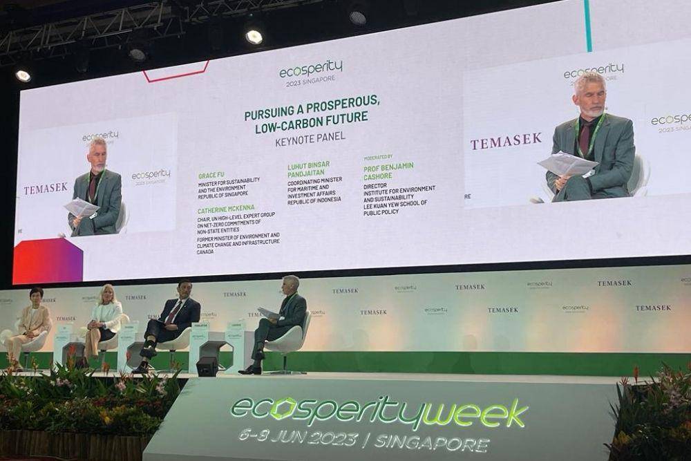 Luhut Binsar Pandjaitan dalam acara diskusi panel Ecosperity Week (dok. KBRI Singapura)