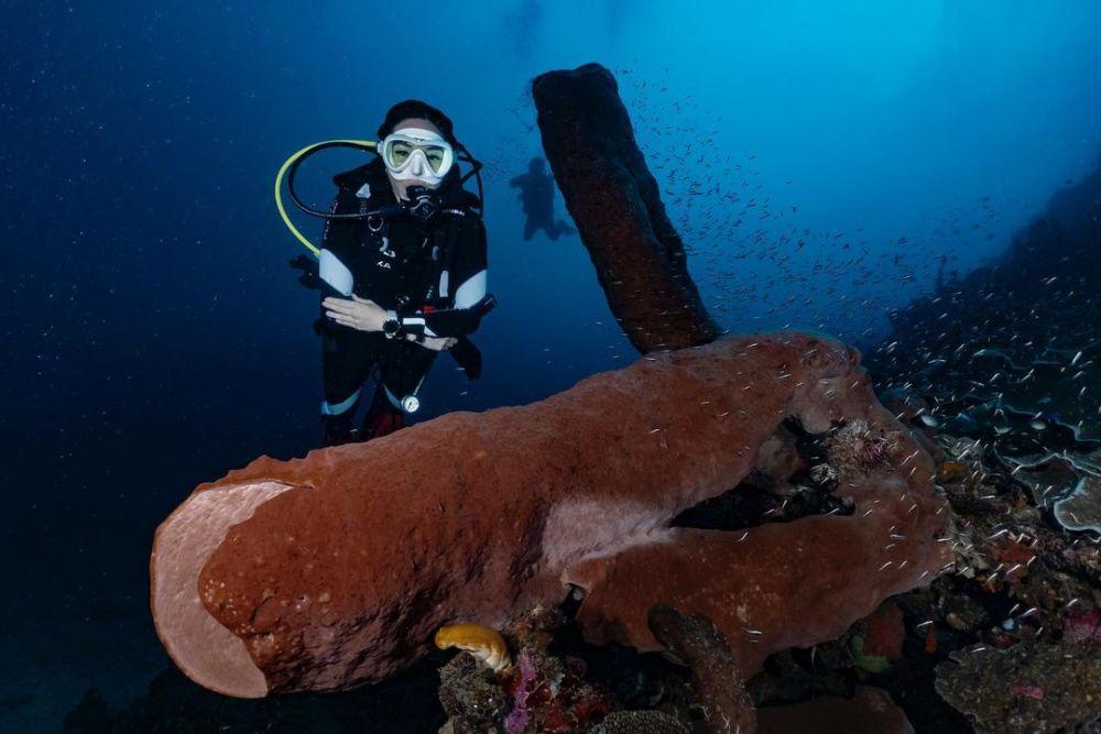 10 Momen Gisel Diving di Perairan Bolsel, Lihat Banyak Terumbu Karang