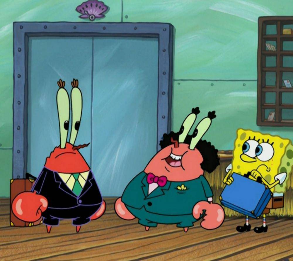 Chintzy McGee (dok. Nickelodeon/SpongeBon SquarePants)