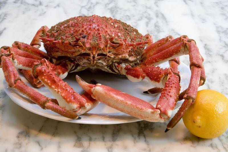ilustrasi kepiting (pixabay.com/jeplor)