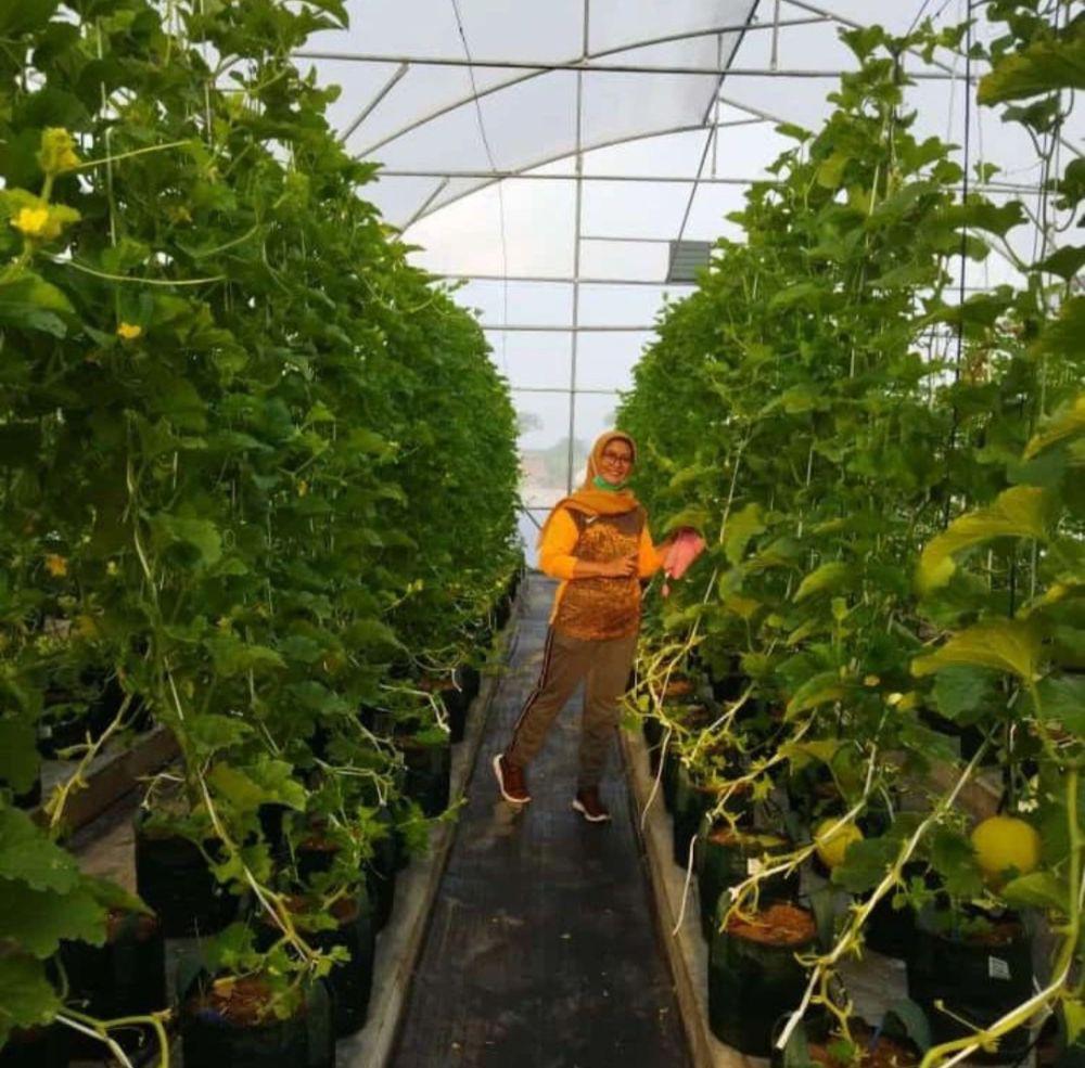 Wisata Baru di Kota Metro, Konsep Garden Cocok untuk Liburan Keluarga