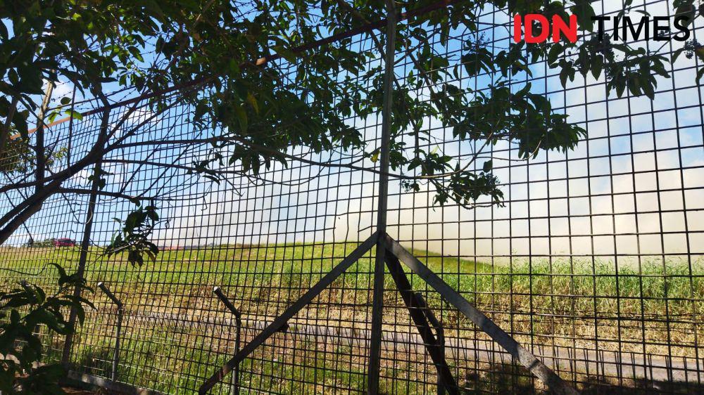 Kebakaran Landasan Bandara Hasanuddin Makassar, Tak Ganggu Penerbangan