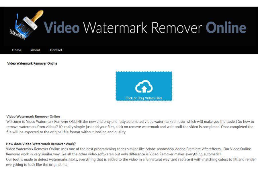 ilustrasi Video Watermark Remover Online (dok.videowatermarkremoveronline.com)