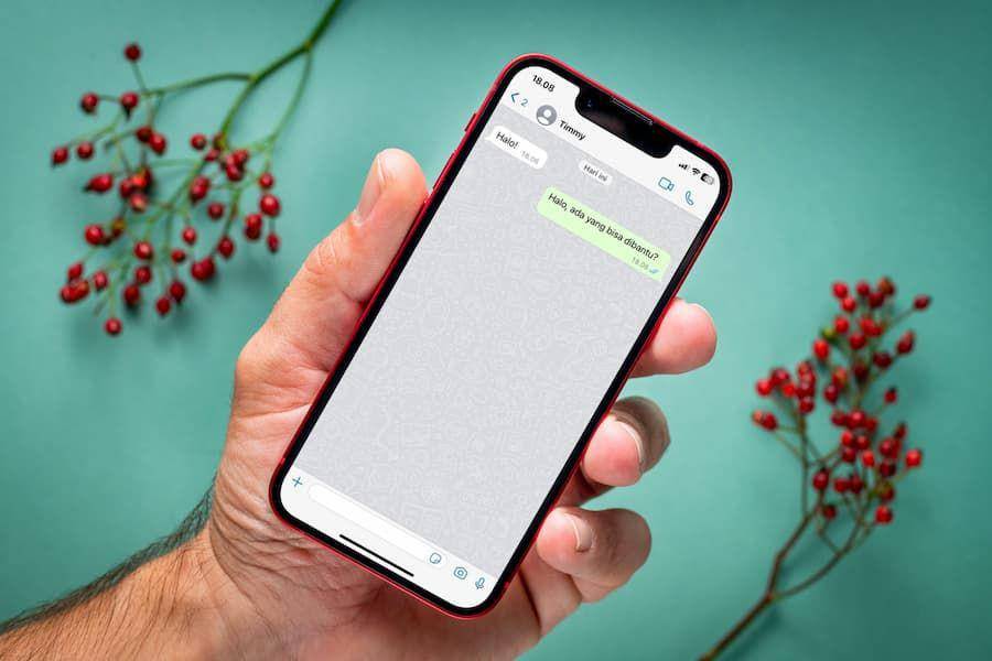 ilustrasi pesan otomatis WhatsApp (dok. Canva)