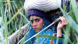 Gabbeh (dok. KlikFilm/Gabbeh)