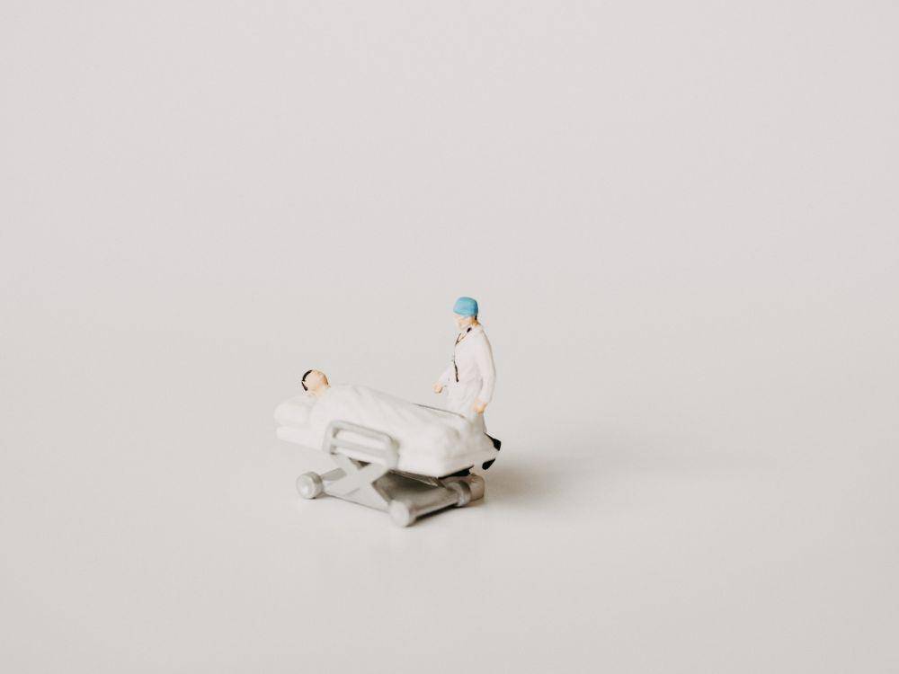 unsplash.com/Annie Spratt