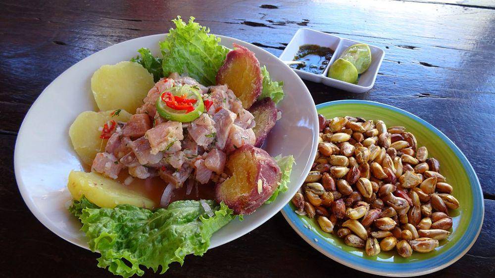 ilustrasi ceviche (commons.wikimedia.org/Waterloo1883)