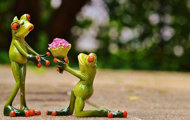 ilustrasi hari valentine (pixabay.com/Alexas_Fotos)