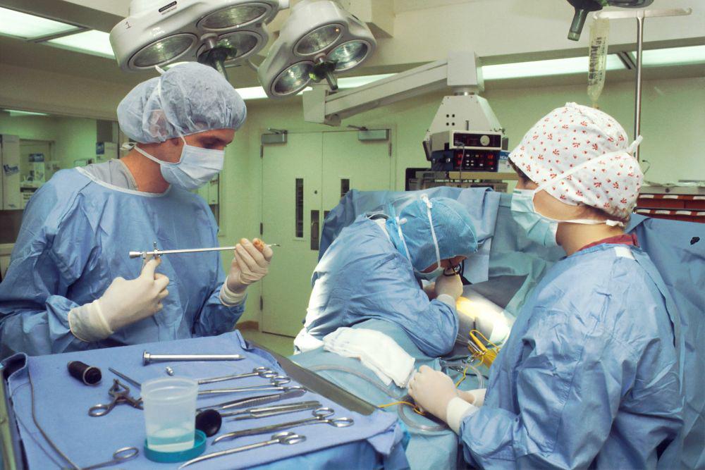 Kenali 7 Fakta Xenotransplantasi, Pencangkokan Organ Hewan ke Manusia