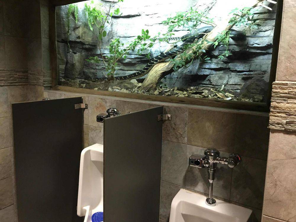 potret hal unik dan aneh di dalam toilet cowok (reddit.com/user/SquidMcNuggets)