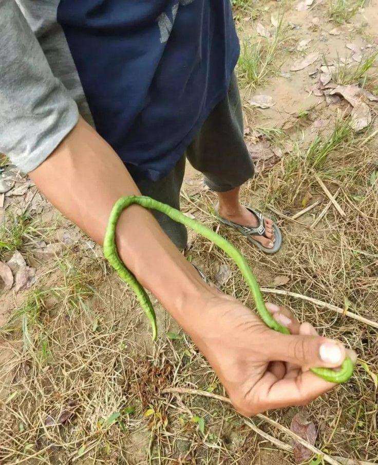 potret teliti kocak (instagram.com/unconditionaldesign)