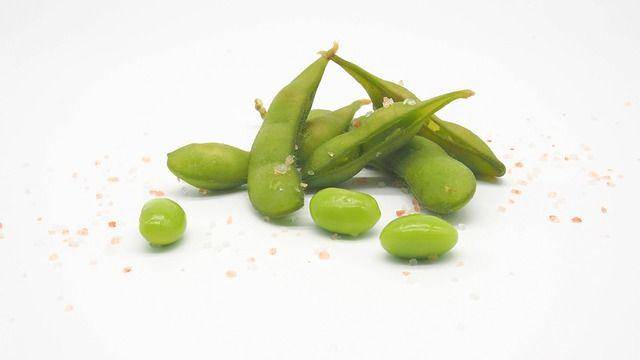 ilustrasi edamame (pixabay.com/u_9vstifjx)