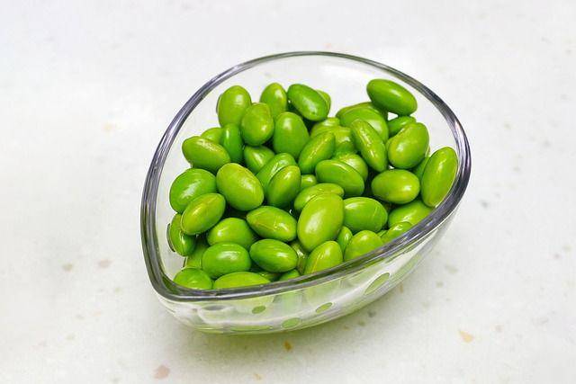 ilustrasi edamame (pixabay.com/MYCCF)