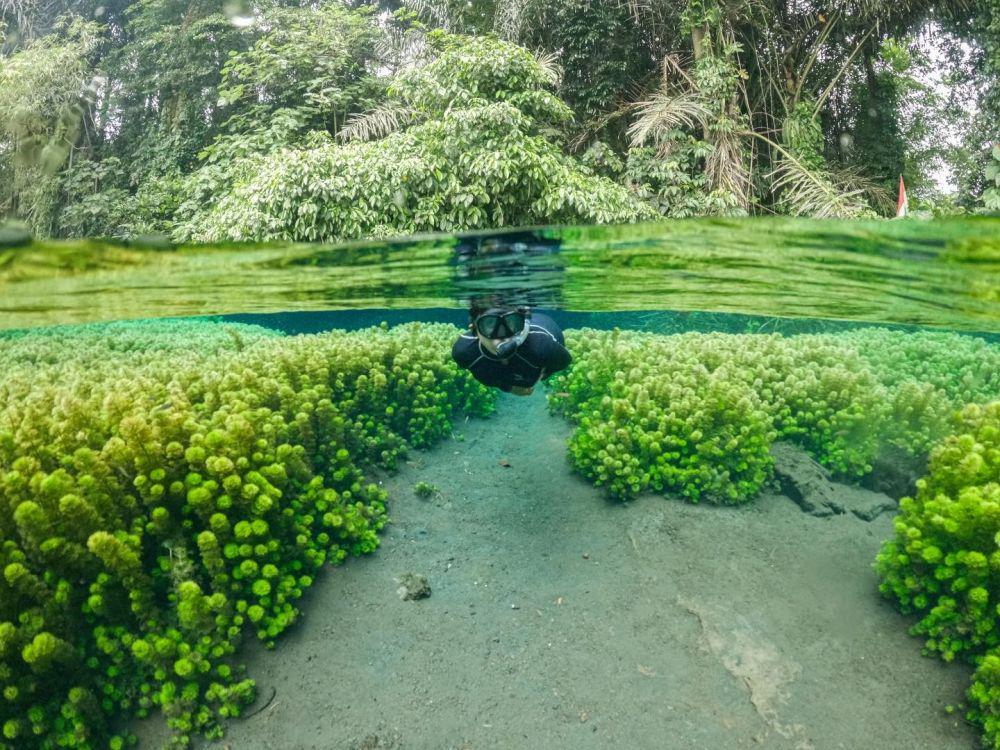 7 Pilihan Wisata Alam di Malang Selain Pantai, Adem Bikin Betah!