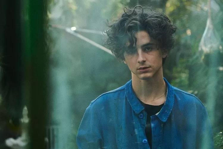 potret Timothée Chalamet (instagram.com/tchalamet)
