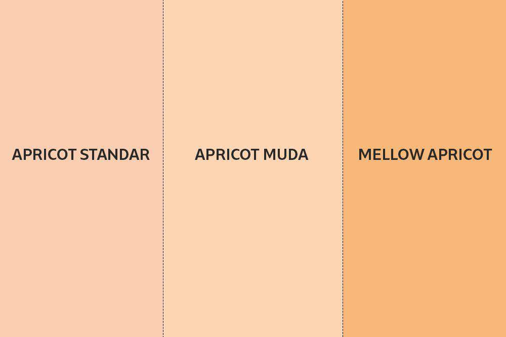 Ilustrasi jenis-jenis warna apricot (IDN Times/Abigail Putra)