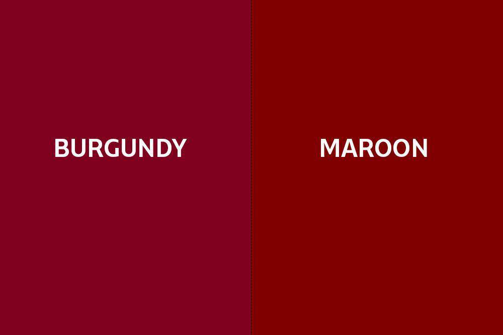 Ilustrasi perbedaan burgundy dan maroon (IDN Times/Abigail Putra)