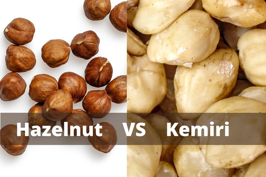 Benarkah Hazelnut Berasal dari Kemiri? Ini Faktanya!