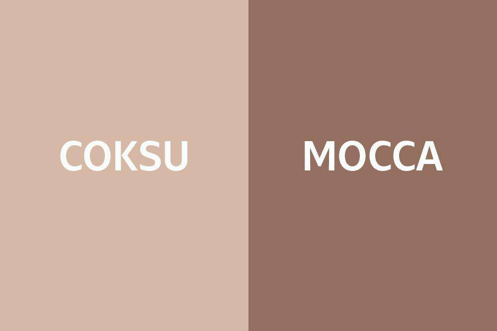 Ilustrasi perbedaan warna coksu dan mocca (IDN Times/Abigail Putra)