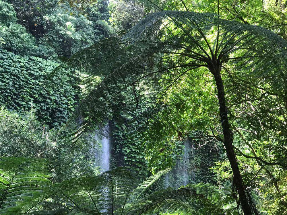 7 Informasi Penting yang Harus Diketahui di Air Terjun Benang Kelambu