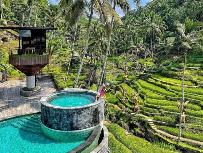 3 Destinasi Dayclub Populer di Bali, View Air Terjun Hingga Sawah!