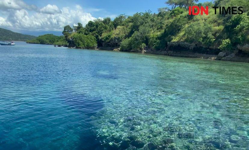 Spot Diving Tersembunyi di Pulau Menjangan, Dihuni Rusa Lho!
