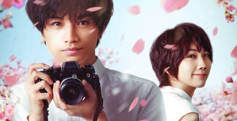 cuplikan film Love Like the Falling Petals (dok. Netflix/Love Like the Falling Petals)
