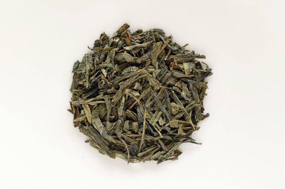 Ilustrasi teh sencha (pixabay.com/Pictavio)