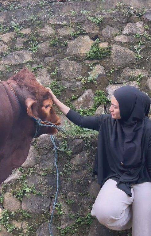 Nathalie Holscher berburu sapi kurban (YouTube.com/Nathalie Holscher)