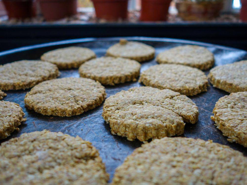 ilustrasi memanggang oat cookies (pixabay.com/ajst68)