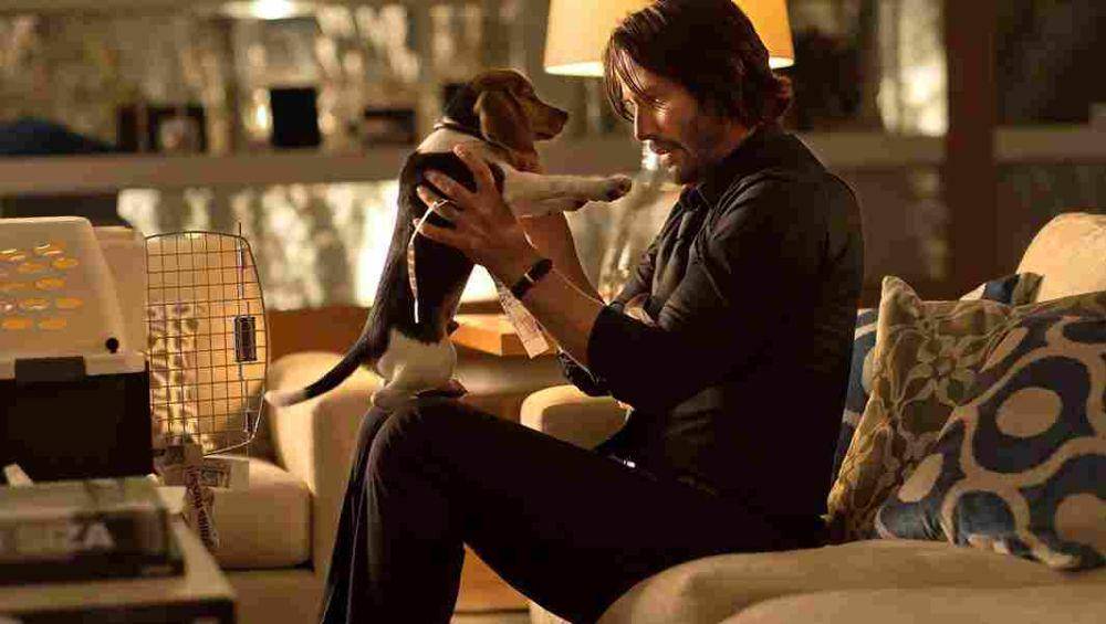 cuplikan John Wick (Dok.Lionsgate/John Wick)
