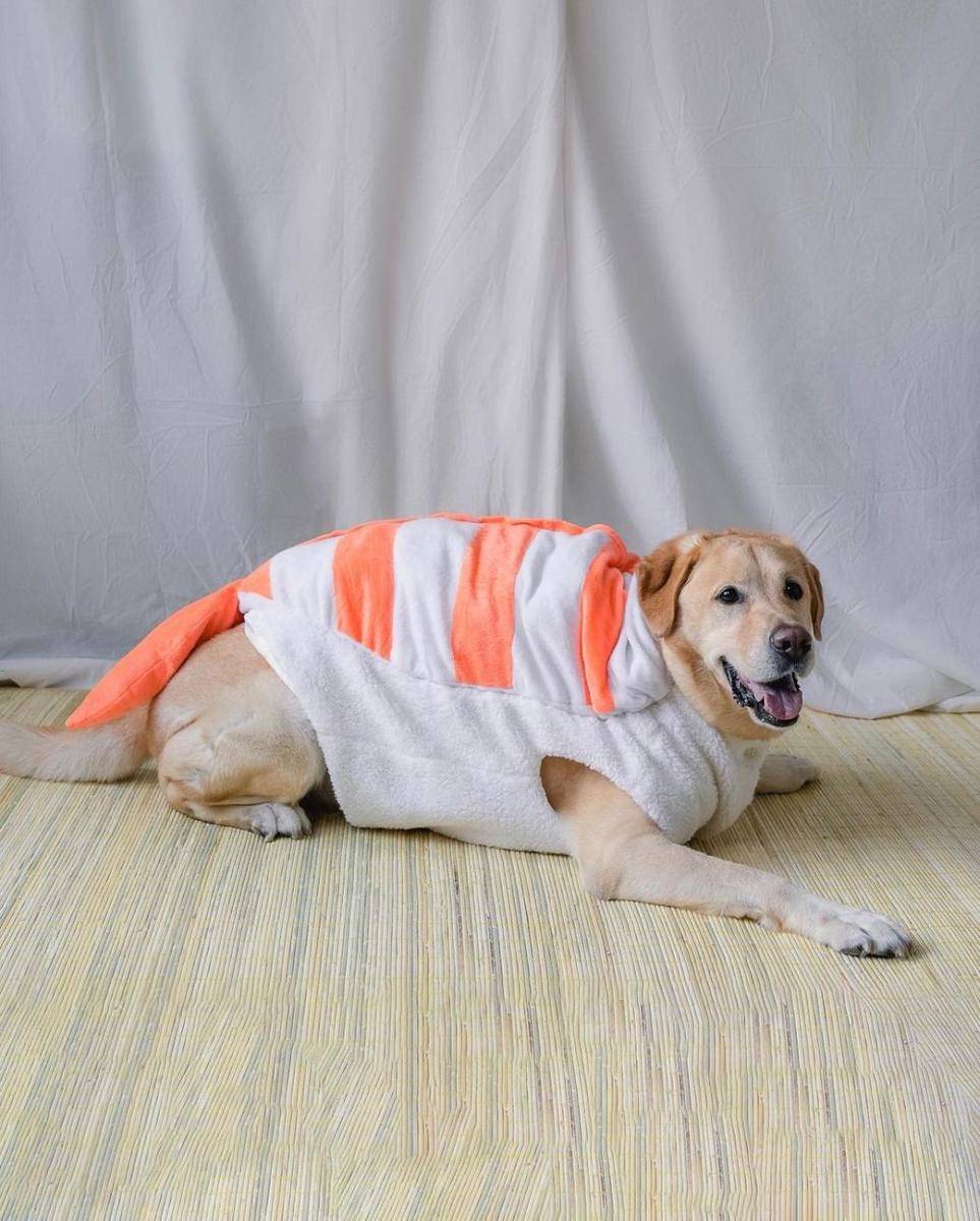 potret anjing peliharaan Chef Arnold (instagram.com/tiffanysoetanto)