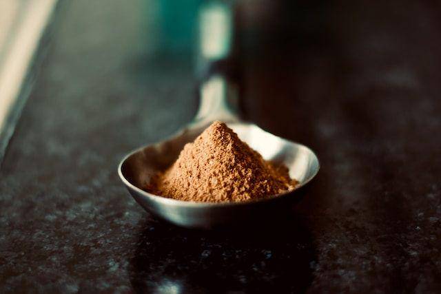 ilustrasi ragi (unsplash.com/Indivar Kaushik)