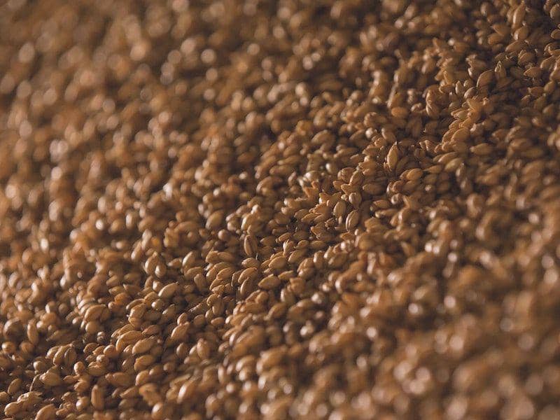 Ilustrasi Gandum (Pexels.com/42 North)