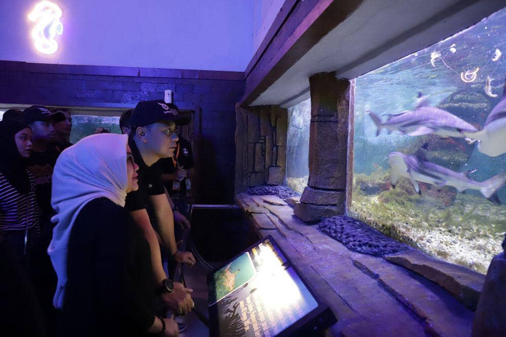 Surabaya Night Zoo Dibuka 25 Juni 2023