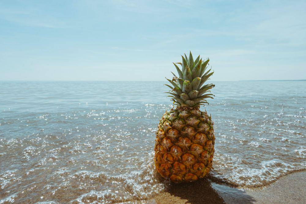 Nanas (pexels.com/Pineapple Supply Co.)