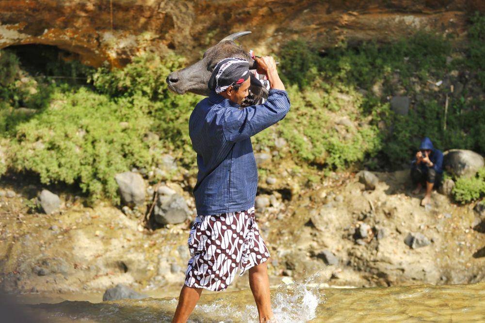 Warga mengangkat kepala kerbau yang hendak dilarung di Dam Bagong. IDN Times/ istimewa