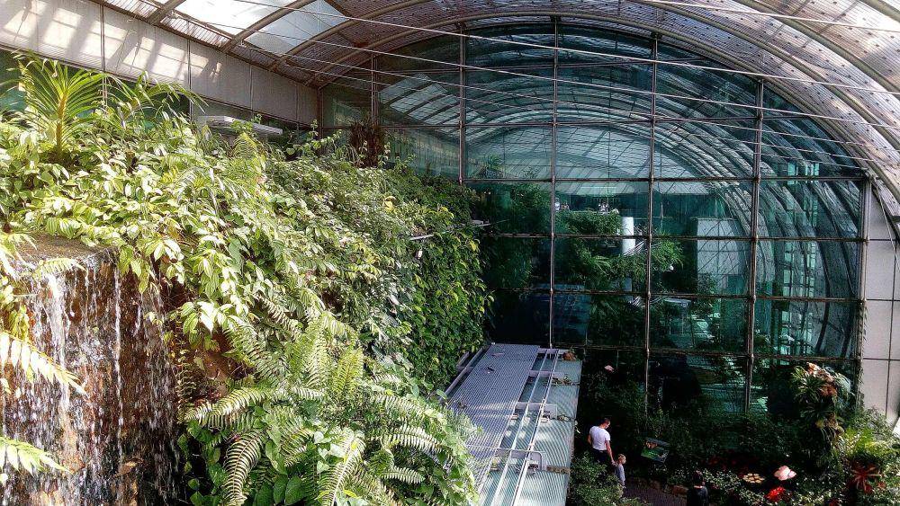 Butterfly Garden (commons.wikimedia.org)