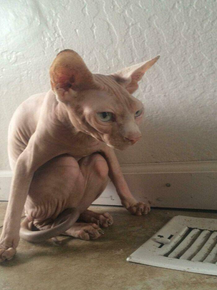 potret mendadak eror (reddit.com/Uaquamarine)