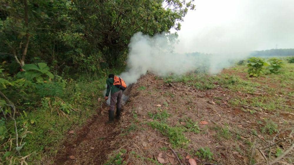 Cegah Kebakaran Hutan, Petugas Bikin Sekat Bakar di Cagar Alam Kembang Jepara