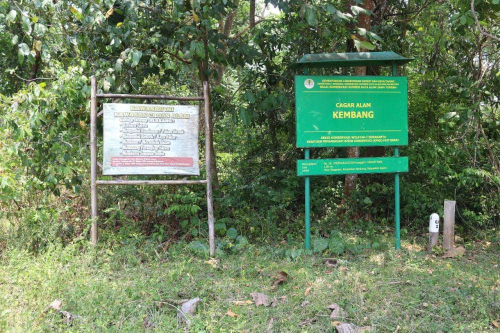 Papan plang Cagar Alam Kembang terpasang di jalan masuk ke kawasan Kembang. (IDN Times/Dok KPHK Pati Barat)